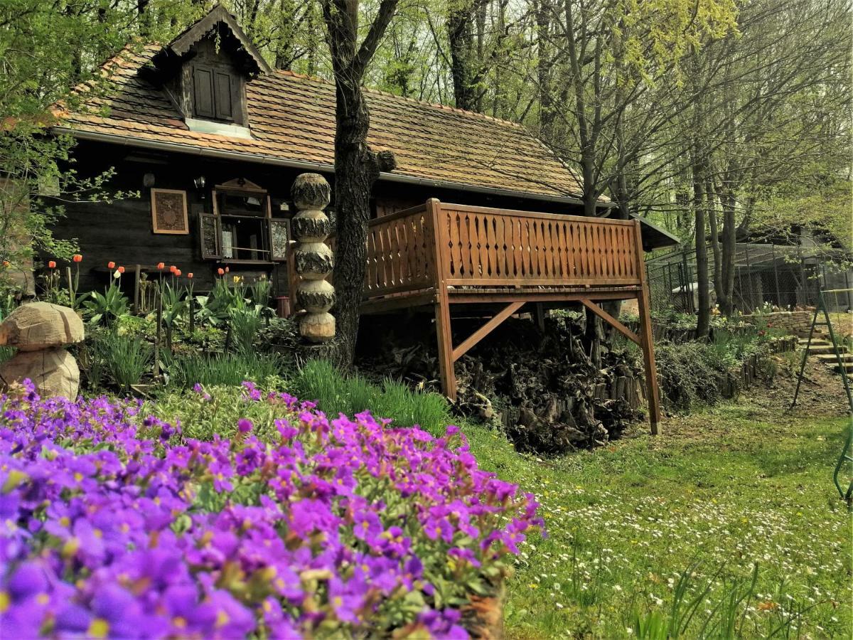 Country House With A Pool In Medvednica Nature Park Zagreb Exterior foto